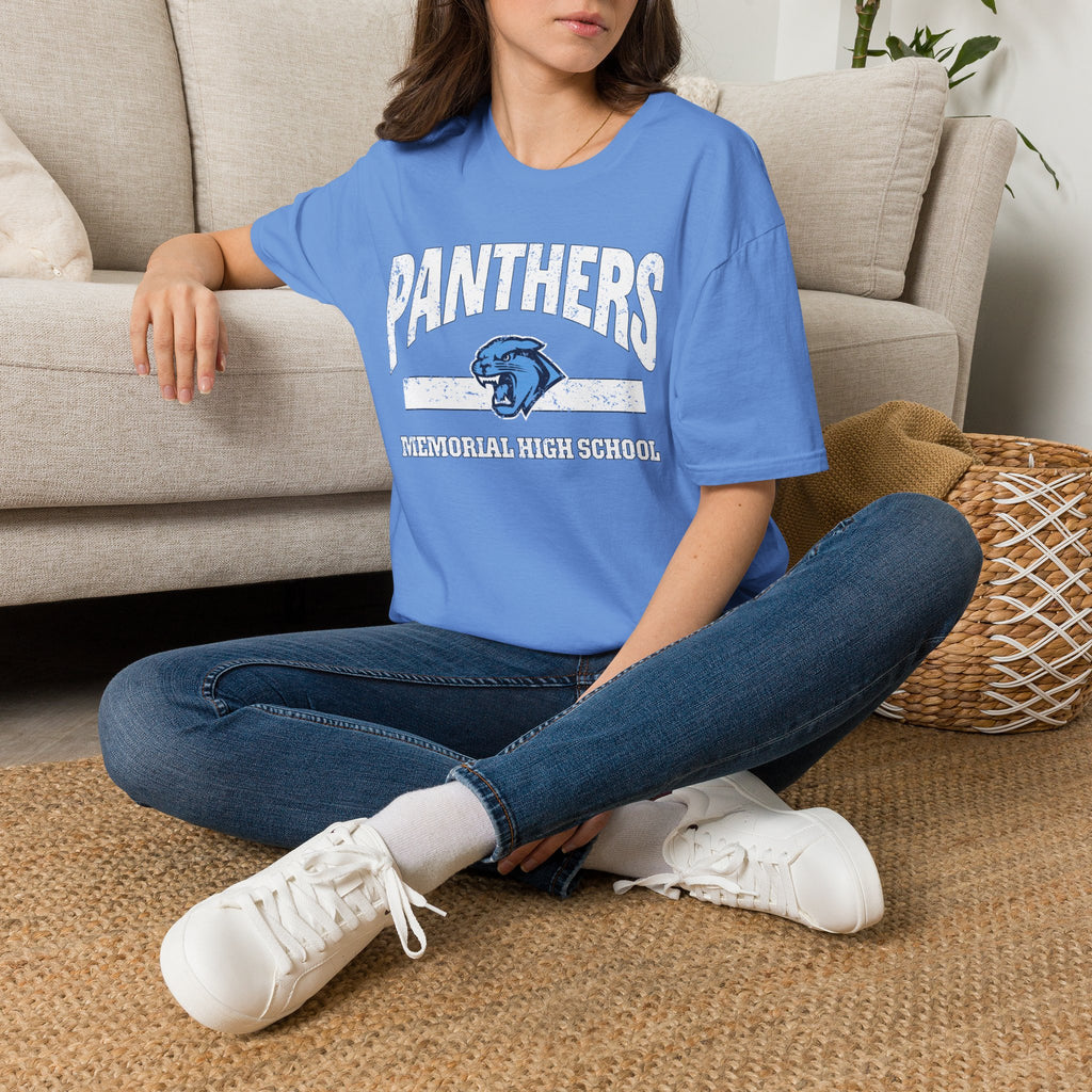Panthers Vintage Distressed Tee — School Mascot Graphic T-Shirt