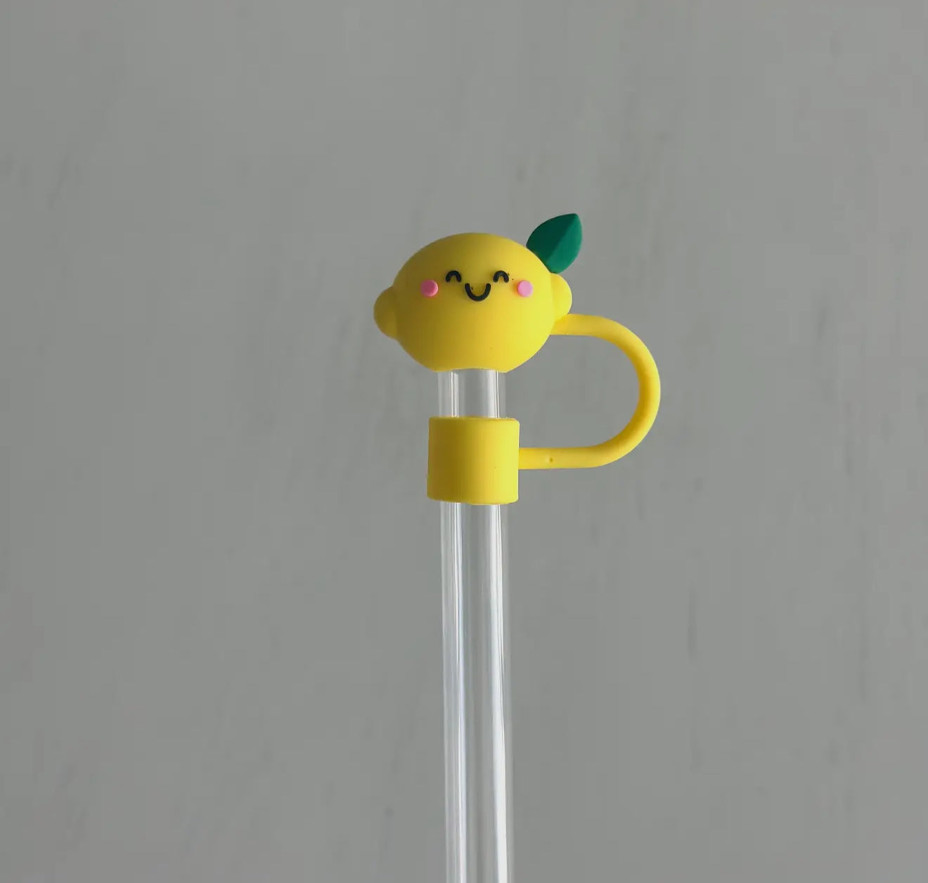 Fruit 10mm Straw toppers