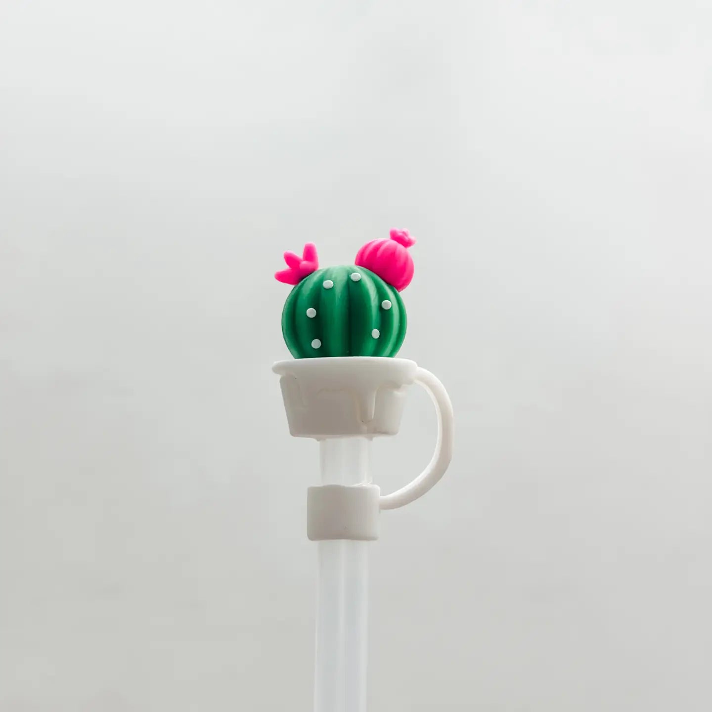 Flowers/cacti straw toppers