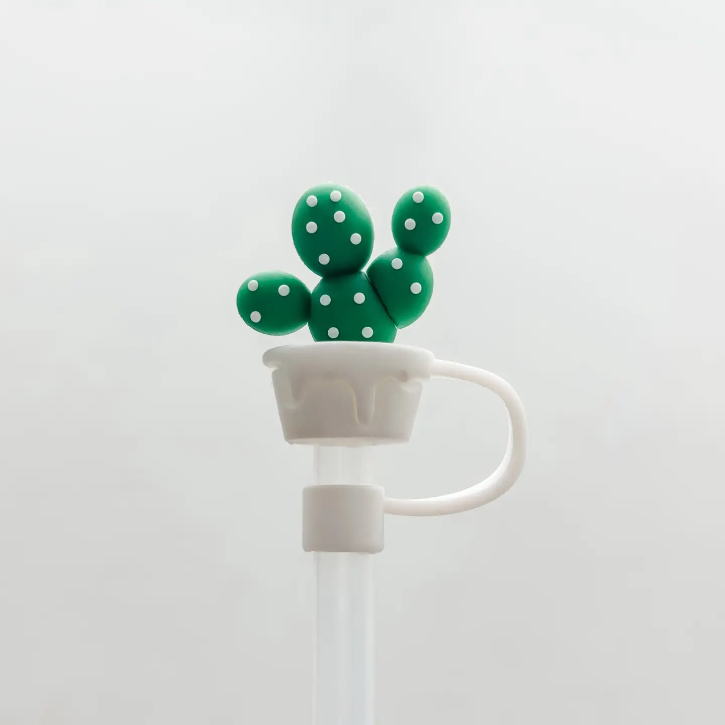 Flowers/cacti straw toppers