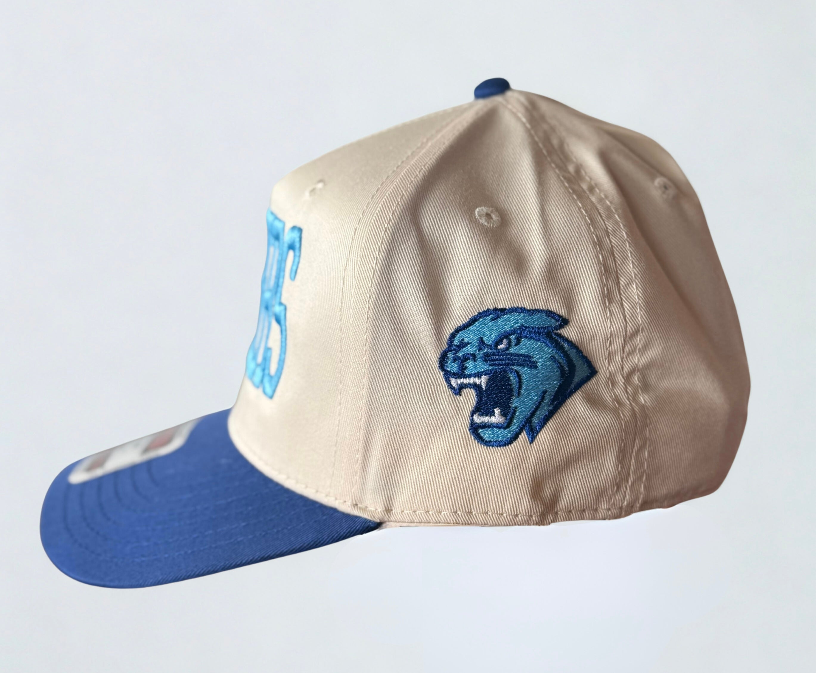 School Pride Baseball hats